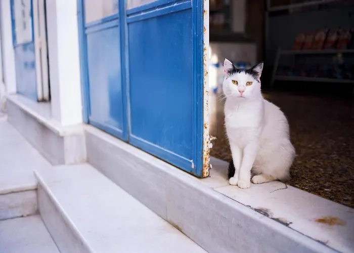 Lovely Santorini 3 Bedrooms Petra Private Pool 别墅 *